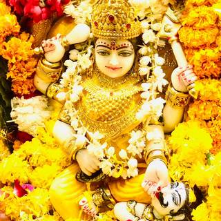 Maa Bagalamukhi wallpaper