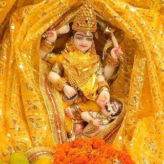 Maa Bagalamukhi wallpaper