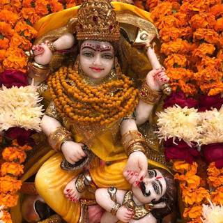 Maa Bagalamukhi wallpaper