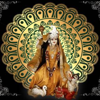 Maa Bagalamukhi wallpaper