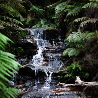 Flowing river wallpaper