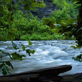 Flowing river wallpaper