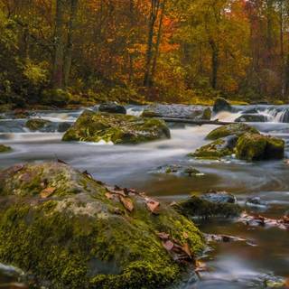 Flowing river wallpaper