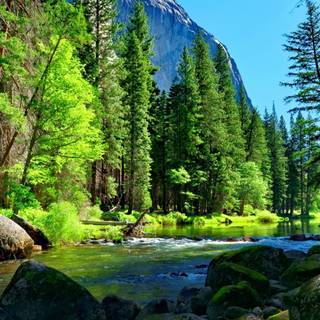 Flowing river wallpaper