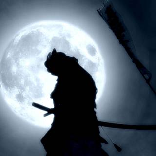 Shadow samurai wallpaper