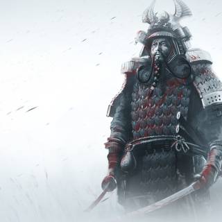 Shadow samurai wallpaper