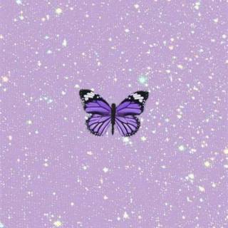 Cute light purple wallpaper