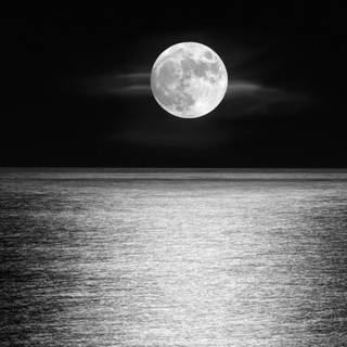 Moon black and white wallpaper