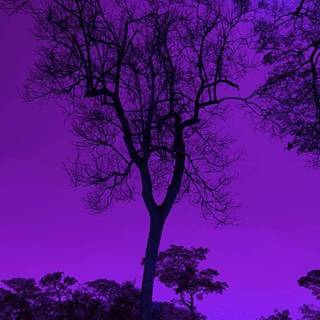 Aesthetic purple scenery wallpaper