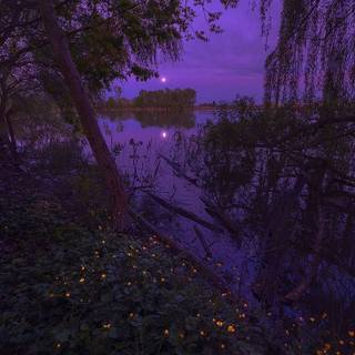 Aesthetic purple scenery wallpaper
