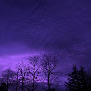 Aesthetic purple scenery wallpaper