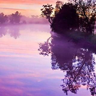 Aesthetic purple scenery wallpaper