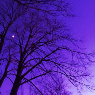 Aesthetic purple scenery wallpaper