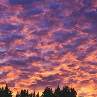 Aesthetic purple scenery wallpaper