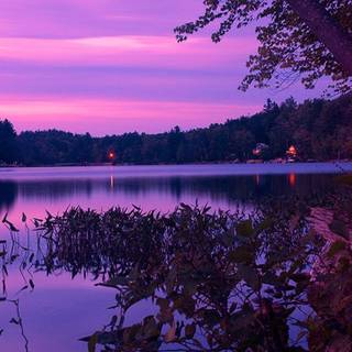 Aesthetic purple scenery wallpaper