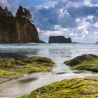 Washington 4k wallpaper