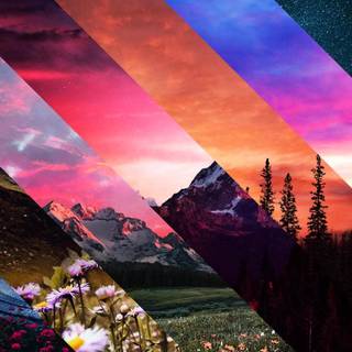 iPhone 11 nature 4k wallpaper