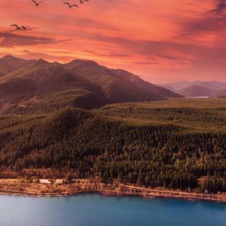 iPhone 11 nature 4k wallpaper