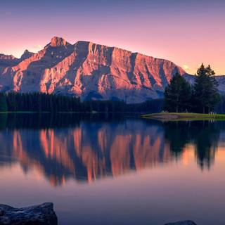 iPhone 11 nature 4k wallpaper