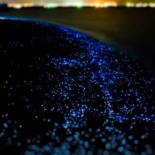 Ocean night 4k wallpaper