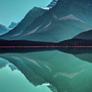 iPhone 11 nature 4k wallpaper