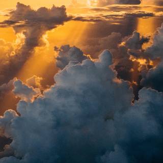 iPhone 11 nature 4k wallpaper