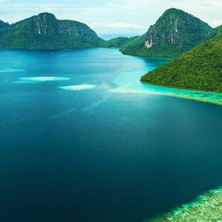 iPhone 11 nature 4k wallpaper