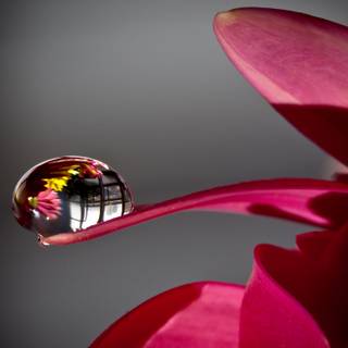 Waterdrop 4k wallpaper