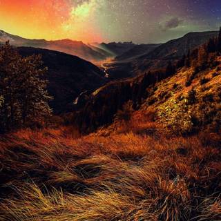 iPhone 11 nature 4k wallpaper