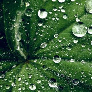 Waterdrop 4k wallpaper