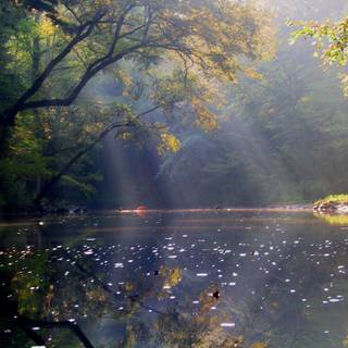 Late summer aesthetic wallpaper