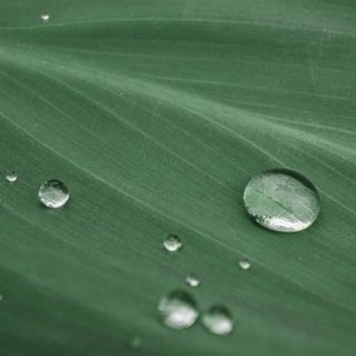 Waterdrop 4k wallpaper