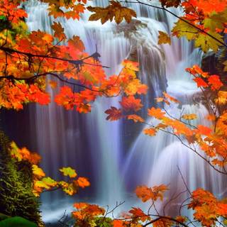 Autumn scenery art wallpaper