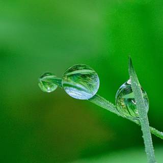 Waterdrop 4k wallpaper