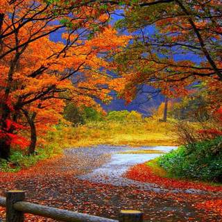 Autumn scenery art wallpaper