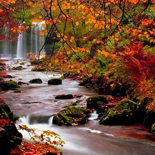 Autumn scenery art wallpaper