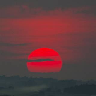 Late summer aesthetic wallpaper