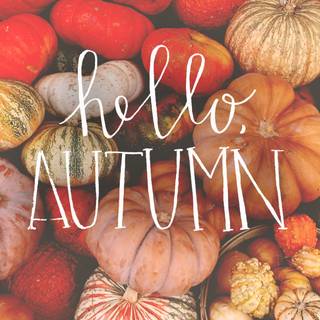 Aesthetic desktop autumn wallpaper