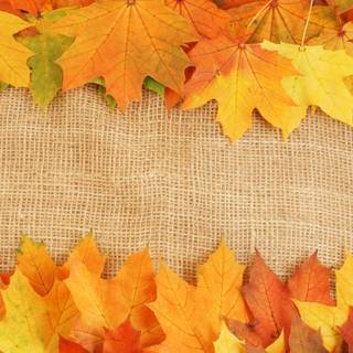 Aesthetic desktop autumn wallpaper