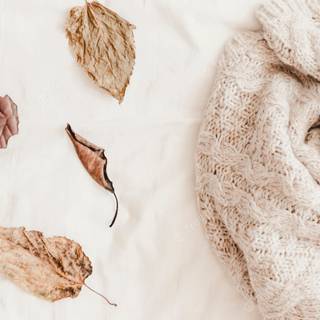 Aesthetic autumn clean desktop wallpaper