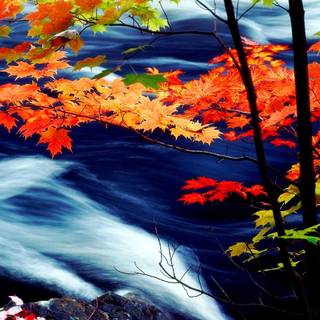 Autumn scenery art wallpaper