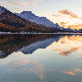 iPhone 11 nature 4k wallpaper