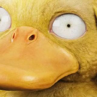 Psyduck desktop wallpaper
