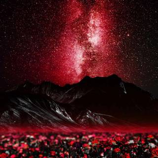 Cool iPhone 14 wallpaper