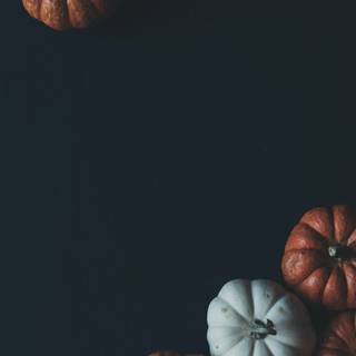 HD Halloween iPhone 11 wallpaper