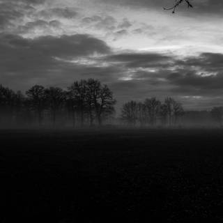 Dark landscape 4k wallpaper