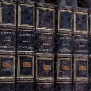 Book shelf 4k wallpaper