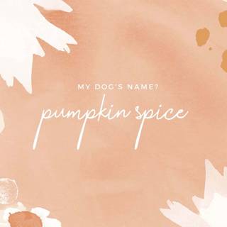 Cute autumn PC wallpaper