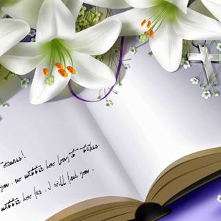 Love quotes 4k wallpaper