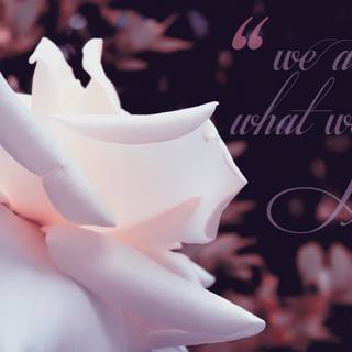 Love quotes 4k wallpaper